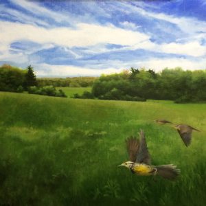 Meadowlarks- Knox Farm State Park 