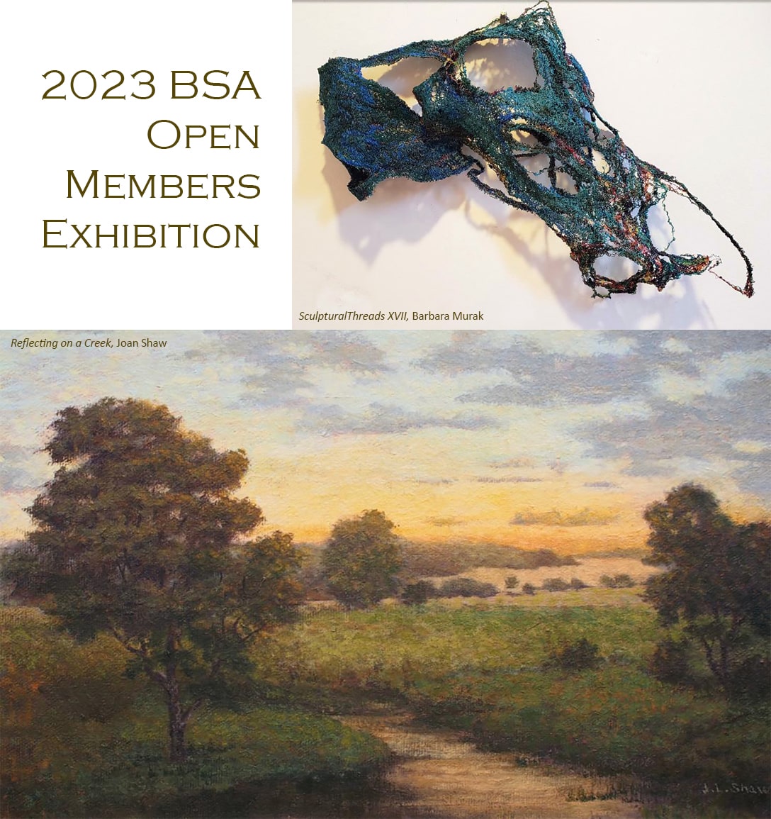 BSA 2023 Open Members Exhibition Reception